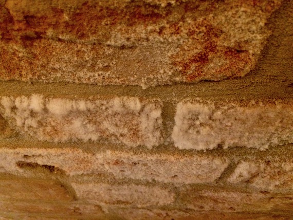 Skrystalizowana sól na murze ceglanym